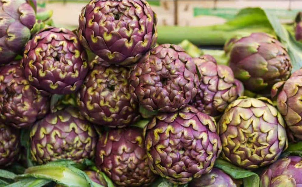 Carciofi: immagine introduttiva