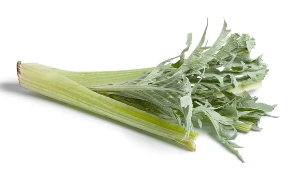 Una pianta di cardo fresco, caratterizzata da gambi chiari e foglie verdi, apprezzata per i suoi benefici nutrizionali e la versatilità in cucina.