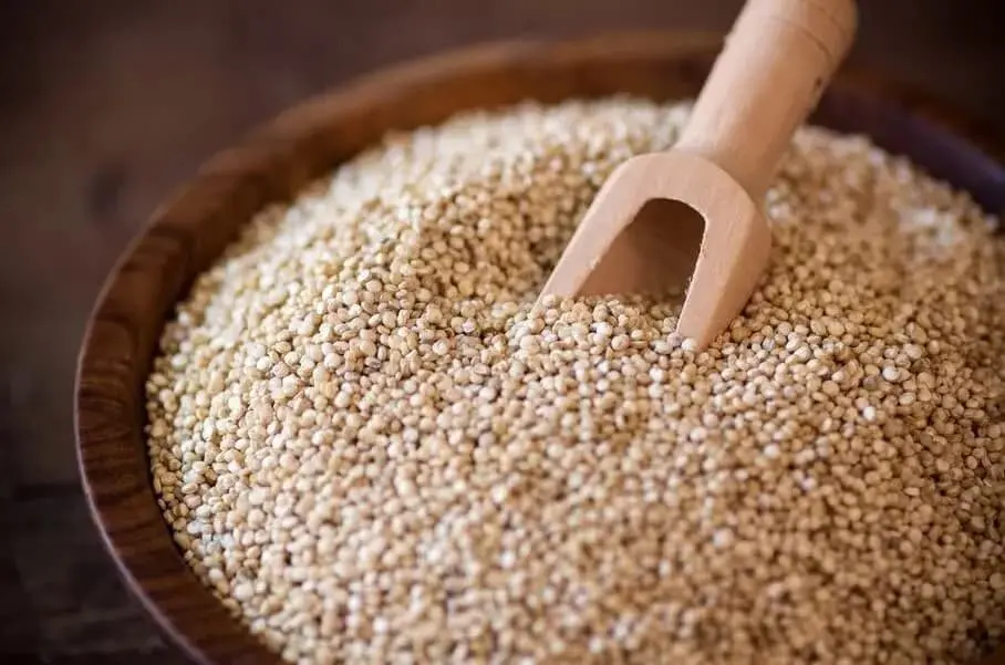 Proprietà della Quinoa: immagine introduttiva