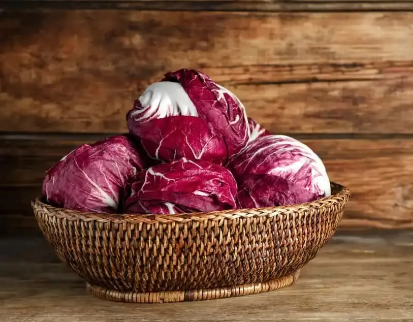 Radicchio: immagine introduttiva