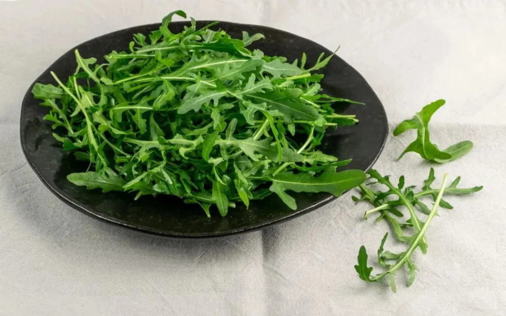 Rucola: immagine introduttiva