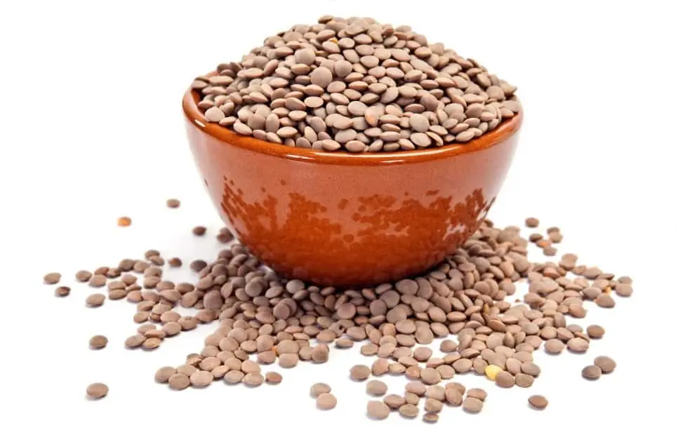 Ciotola di lenticchie, ricche di benefici per la salute e ideali per una dieta equilibrata.