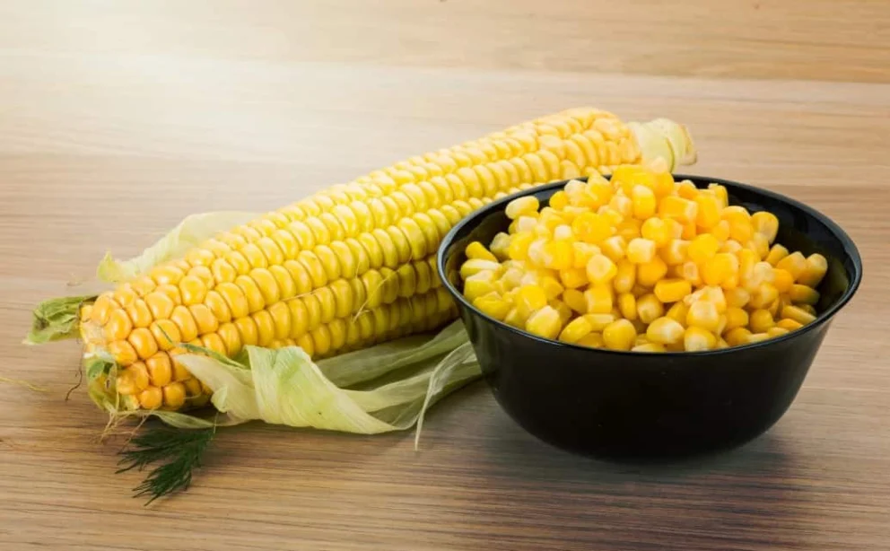 Pannocchia di mais giallo maturo con chicchi ben definiti, simbolo dei benefici nutrizionali del mais