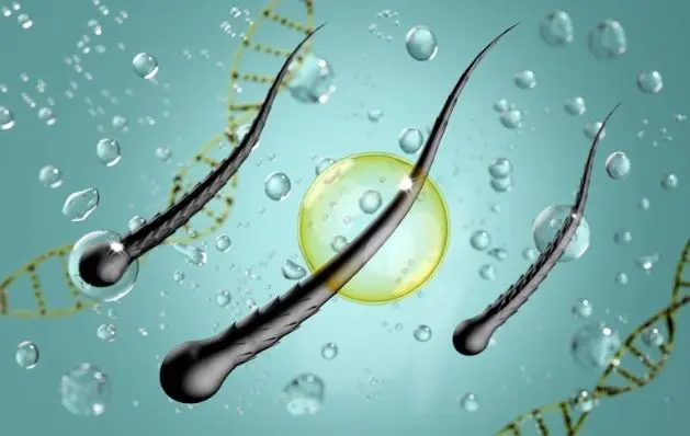 Spermiogramma: immagine introduttiva