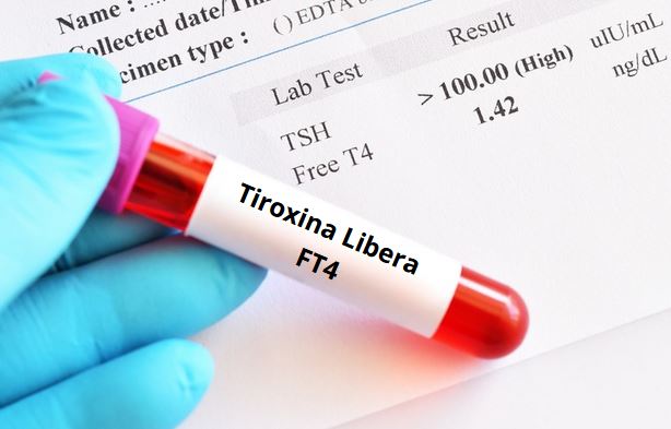 Tiroxina Libera (FT4): immagine introduttiva