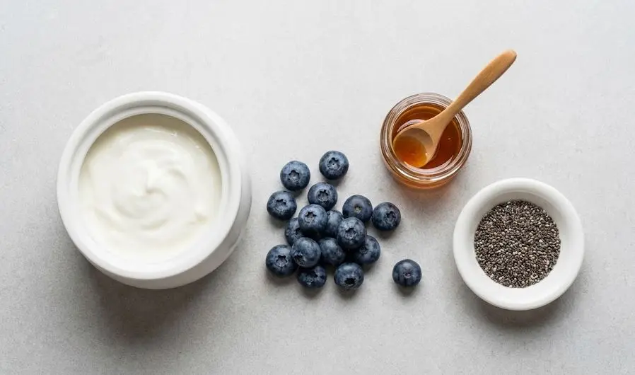 Ingredienti dello Yogurt senza lattosio con mirtilli